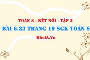 Bài 6.22 trang 19 Toán 8 Kết nối tri thức Tập 2